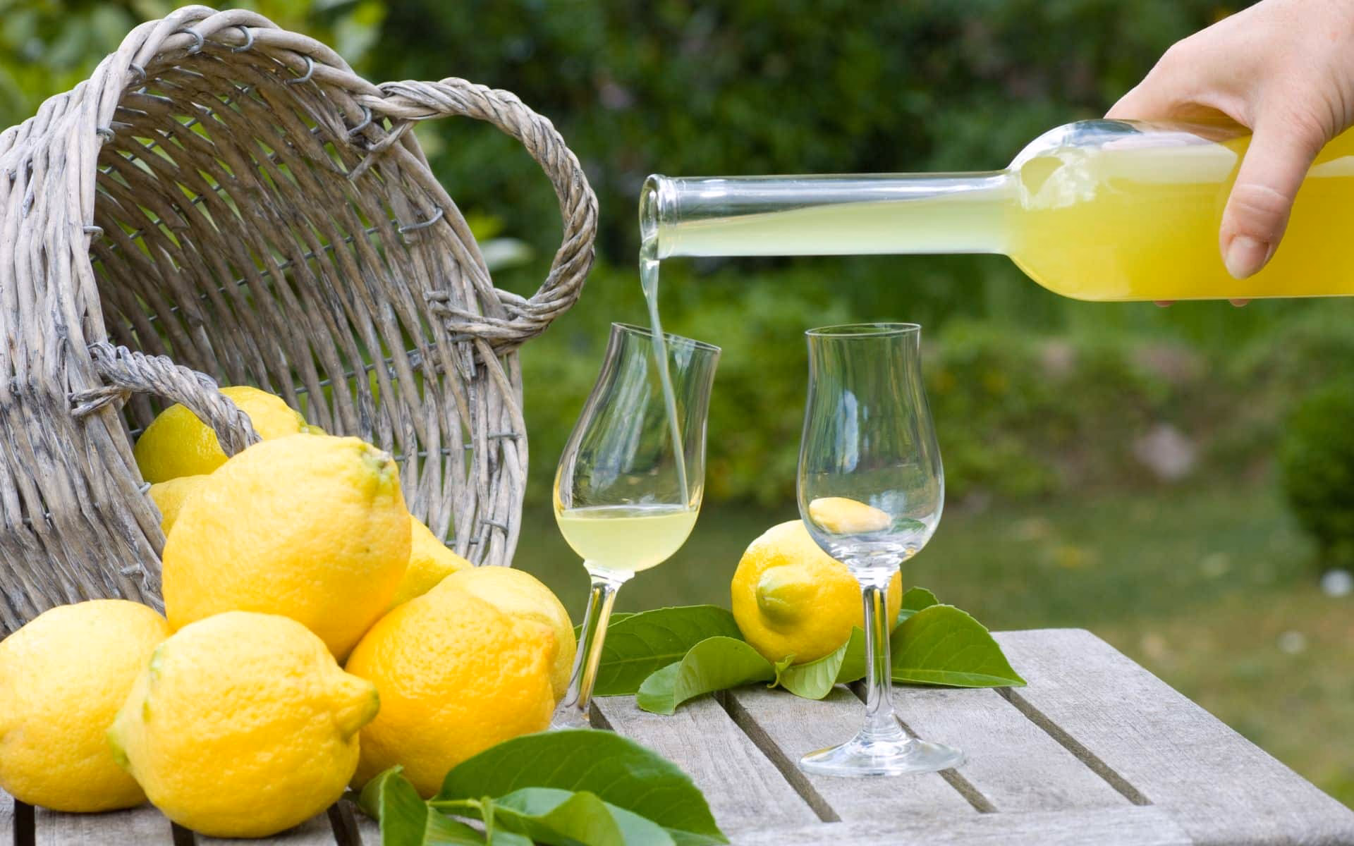 Comment utiliser le limoncello ?